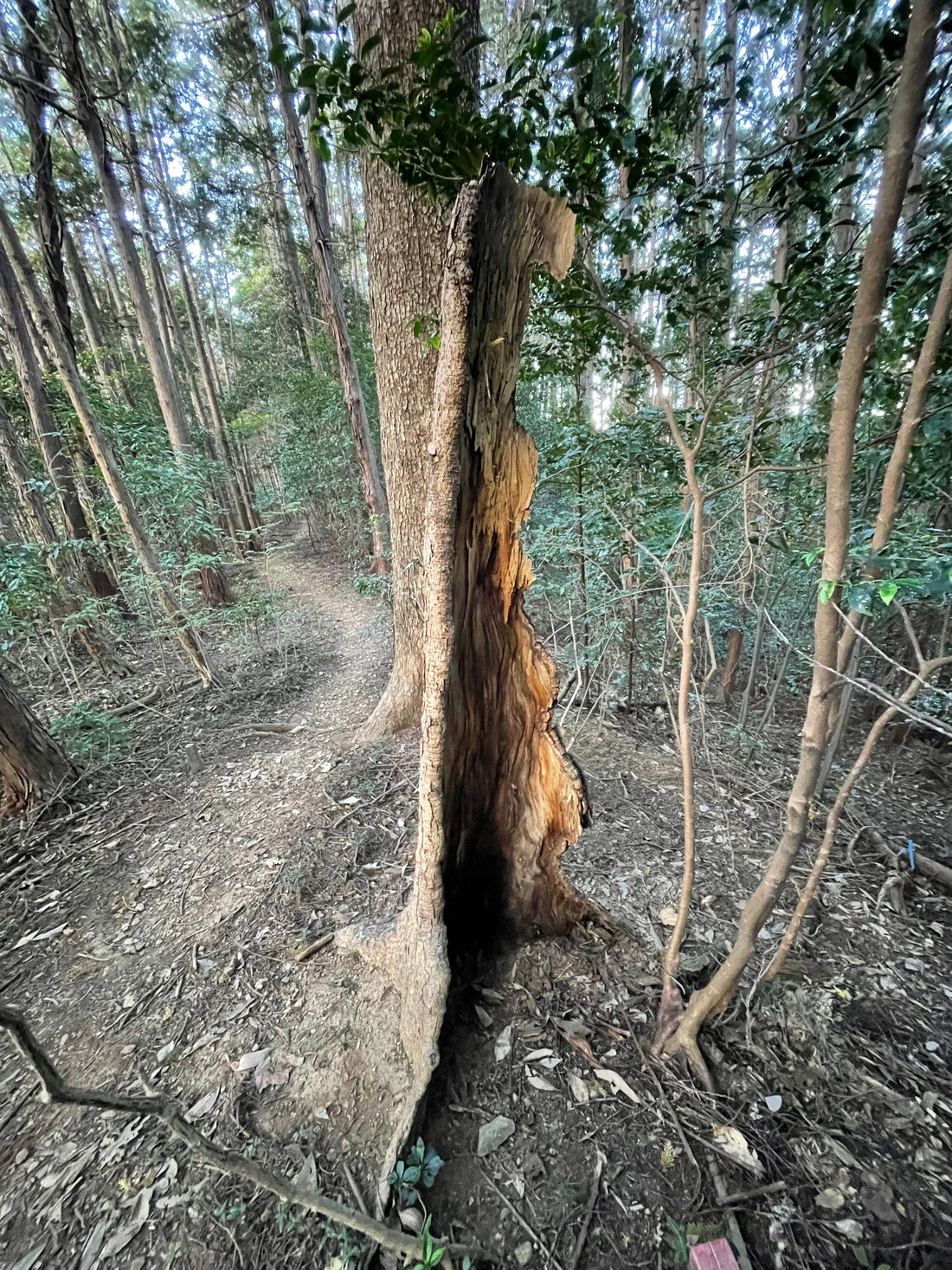私たちの思い。