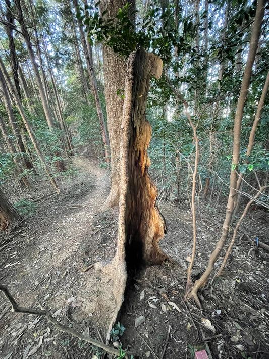 私たちの思い。